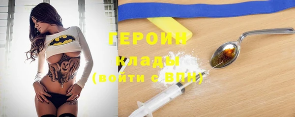 индика Надым