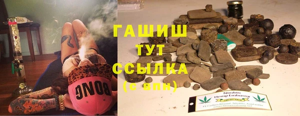 индика Надым