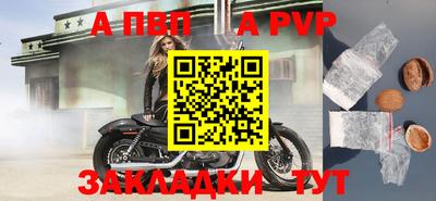 эйфоретик Тара