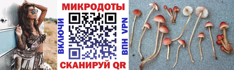 Псилоцибиновые грибы Psilocybine cubensis  как найти наркотики  Стерлитамак 